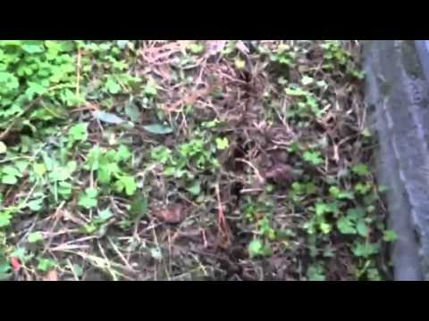 Xfinity Comcast Cable Install