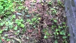 Xfinity Comcast cable install