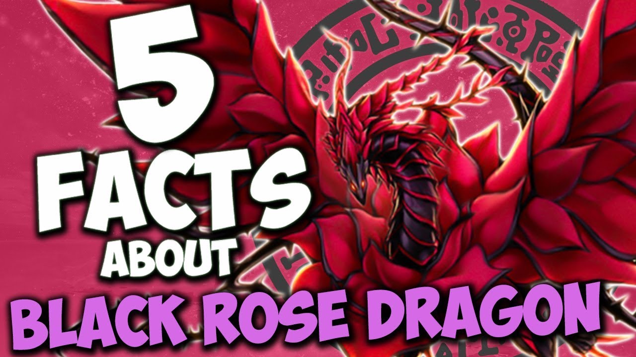 5 Facts About Black Rose Dragon - YU-GI-OH! Facts & Trivia