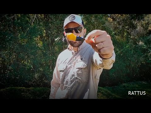 Vídeo Isca Matadeira Frog Rattus