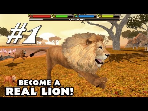 Ultimate Lion Simulator By Gluten Free Games - Android & iOS - Gameplay Part 1
