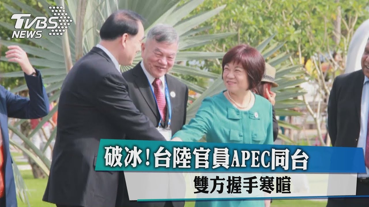 破冰!台陸官員APEC同台 雙方握手寒暄