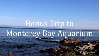 Monterey Aquarium Trip