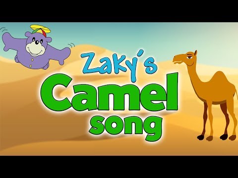 Zaky's Camel Song