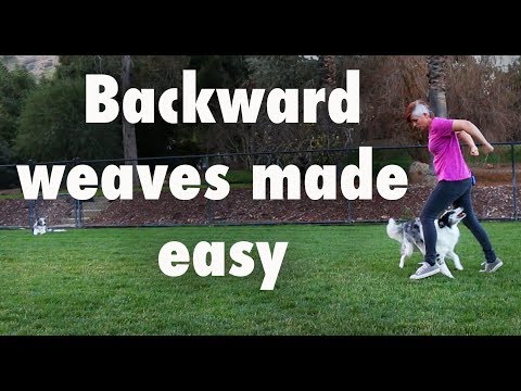 What is Clicker Training