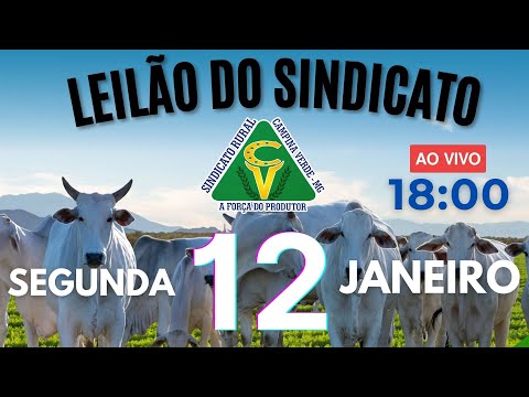 Leilão Sindicato Rural Campina Verde - 01 de Janeiro 2026