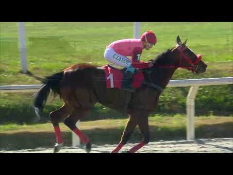 230702 c03 Asoc Criadores S P C/ ORIGINAL CASH (BRZ)