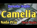 CAMELIA KARAOKE NADA PRIA COWOK Versi Koplo