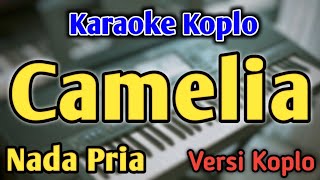 Download lagu CAMELIA - KARAOKE || NADA PRIA COWOK || Versi Koplo mp3