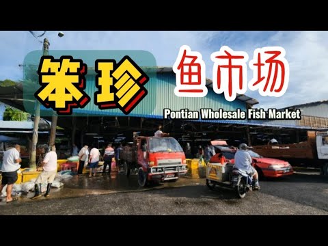 #pontian Wholesale Fish Market (笨珍鱼市场) | Fresh Seafood 新鲜海鲜 | Ah Huat Kitchen 亚发代炒 | 柔佛 | Johor Vlog