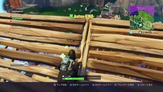 実況放送  Fortnite のんびり勝利を勝ち取れ