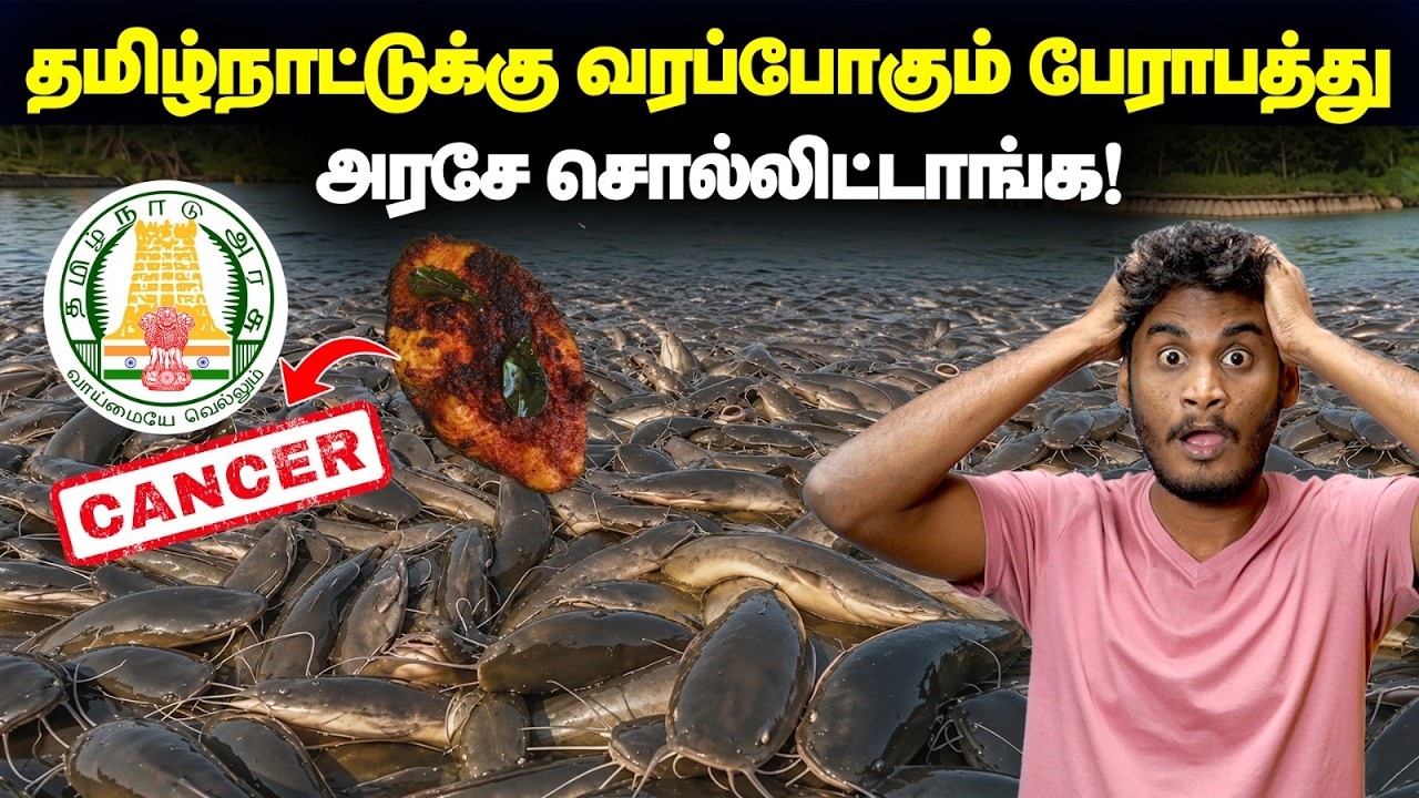🤯😱தமிழ்நாட்டுக்கு பேராபத்து வரப்போகுதா? - தடை செய்?