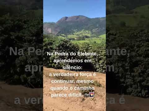 #PedraDoElefante #AndradasMG #MinasGerais #Paz #Reflexão