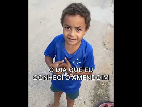 O dia que conheci o AMENDOIM