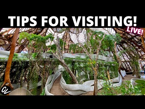 AZULIK SFER IK Francisco Uh May JUNGLE location!