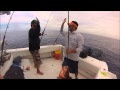 Red Snapper Season Florida 2015 