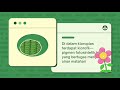 Animasi Proses Fotosintesis