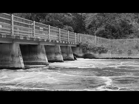 The Wier