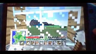 【マインクラフト実況】今日はあみころの誕生祭です。お祝いが全然ないのでせめてでもゲームの中でお祝いしてもらいました。#5【生声実況】