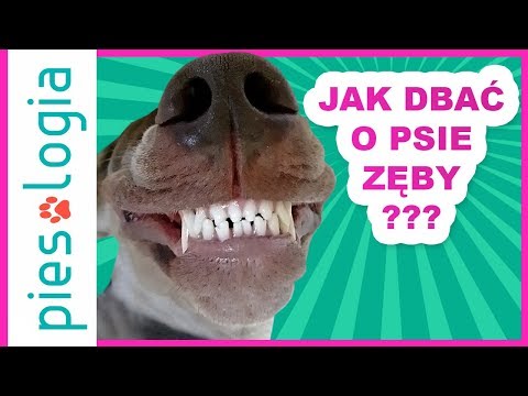 Bolesny guz na piechotę pod palcami Na zakręcie guz stóp
