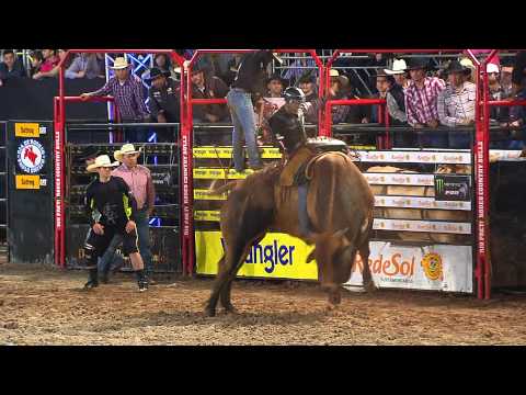 BIPOLAR RIDING BEST BULL