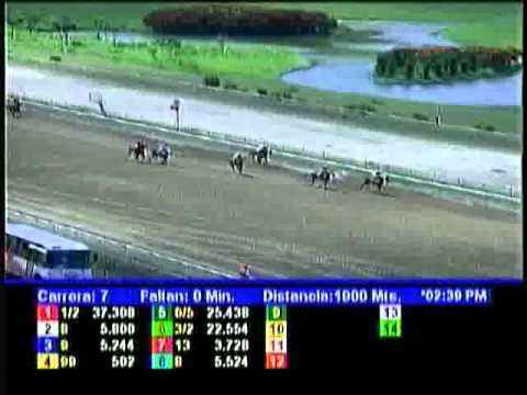 Resumen Domingo, 05 de Agosto de 2012 - La Rinconada