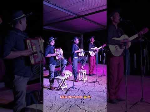 Grillo Martearena 🪗🤠 Villa Río Bermejito Chaco 🇦🇷 #fypシ #musica #envivo #folclore #tendencia #baile