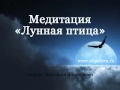 Медитация "Лунная птица" 
