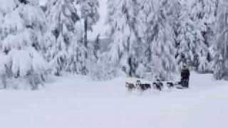 Lean on me- Mitchel Musso