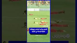 النحل يجتاح الملعب ويتسبب في إيقاف مباراة ودية في تنزانيا وسط هلع بين اللاعبين thumbnail