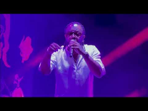 Sensacional ao vivo: Xande de Pilares canta Caetano  #sensa2024 #noitedeabertura #xandecantacaetano