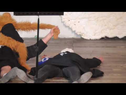 PAGOVIZIJA 07 02 2020 d 11