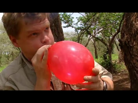 Ray Mears' Bushcraft S01E04 - Africa Camp