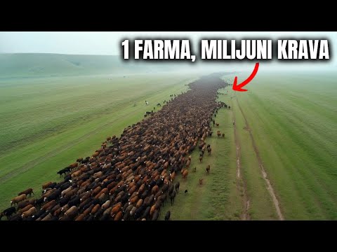 10 NAJVEĆIH FARMI NA ZEMLJI KOJE ĆE VAS ŠOKIRATI