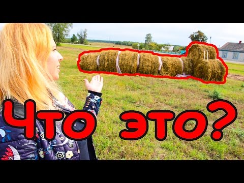 ✔ Что это? Я - Наташа Богданова предлагаю варианты ответов.