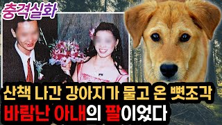 Download lagu 충격실화ㅣ완전 범죄를 꿈꿨지만, 강아지 때문에 드러난 범인의 충격적인 정체 #252ㅣ#YOOHOOTV mp3