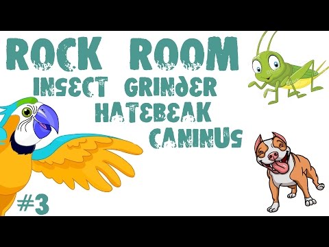 Rock Room #3 - Caninus. Insect Grinder. Hatebeak.