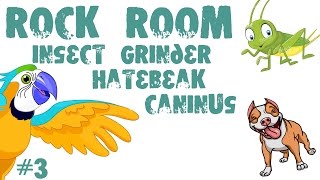 Rock Room #3 - Caninus. Insect Grinder. Hatebeak.