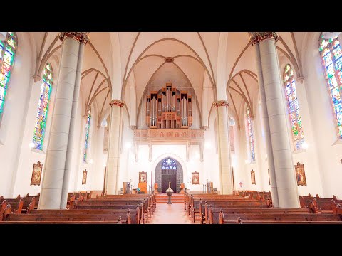 J. S. Bach - JESU, JOY OF MAN'S DESIRING (BWV 147) • Live-Recording Organ Concert - Paul Fey