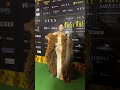 Urvashi Rautela At IIFA 2023 Urvashi Rautela Photoshoot IIFA 2023 Abu Dhabi Shorts Iifa2023