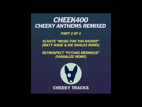 Elivate - Music For Tha Raverz (Matt Wade & Joe Swales Remix) [Cheeky Tracks]