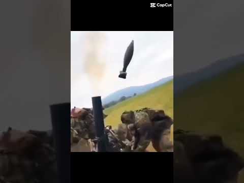 Sussy girl shrek #fypシ #fypシ゚viral