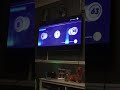 Gala Bingo Sponsorship