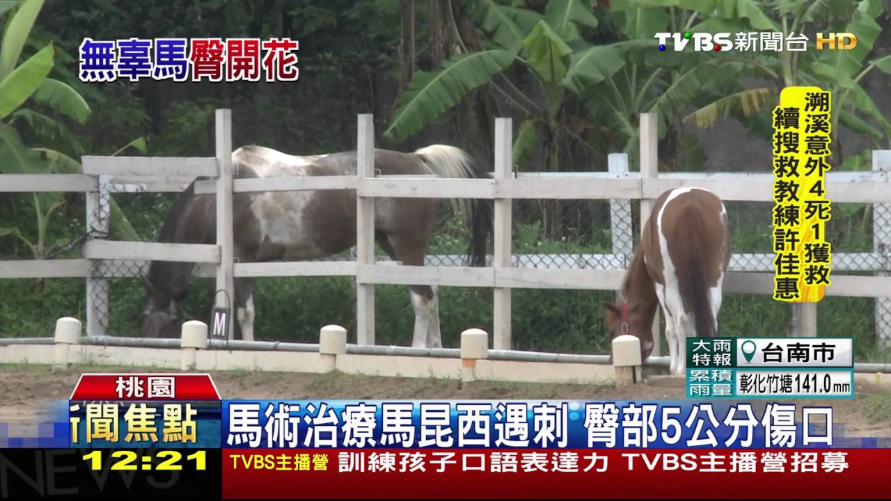 可惡!男子持剪刀闖馬場 狠刺1馬臀部