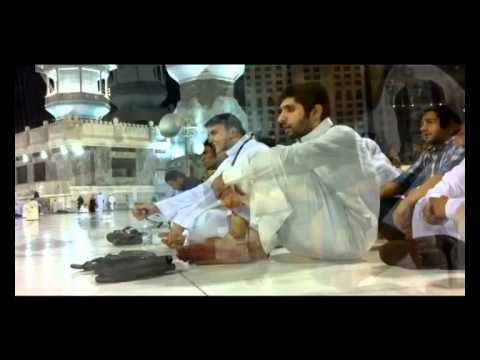 ⁣تقرير حملة نور العترة4