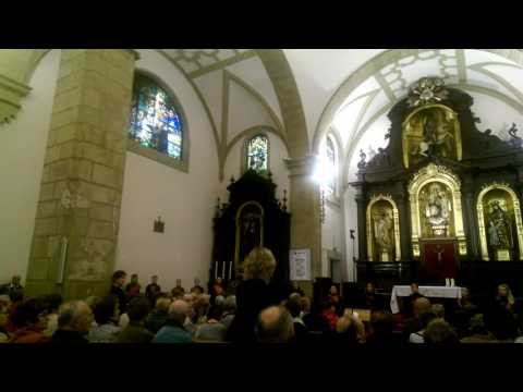 Saint Nicholas Choir LITIJA ( Eslovenia ) VENI CREATOR SPIRITU
