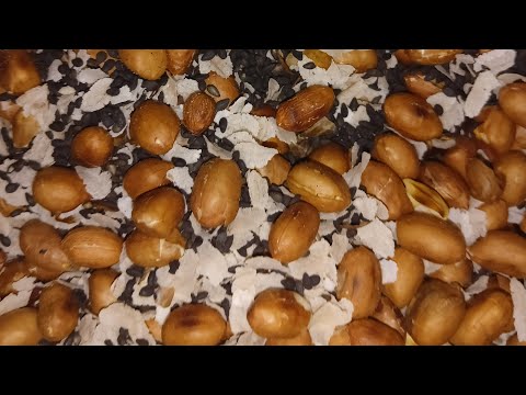 healthy food, with love, travel lovers, funny activities, entertainment