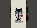 Like And Subscribe Thx Wolf Power For U All ️ Edit Youtubethumbnails Fanchannel Fanpages
