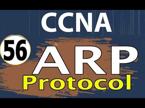 56_شرح الشبكات_شرح ARP protocol_ARP inspection_ شرح بروتوكول ARP