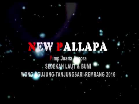 New Pallapa - Mimpi Terindah live ngujung tahun 2016